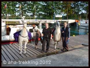 Lama-Trekkingtour2013