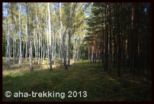 Lama-Trekkingtour2013